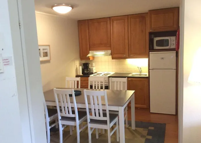 Alpine House In * Levi